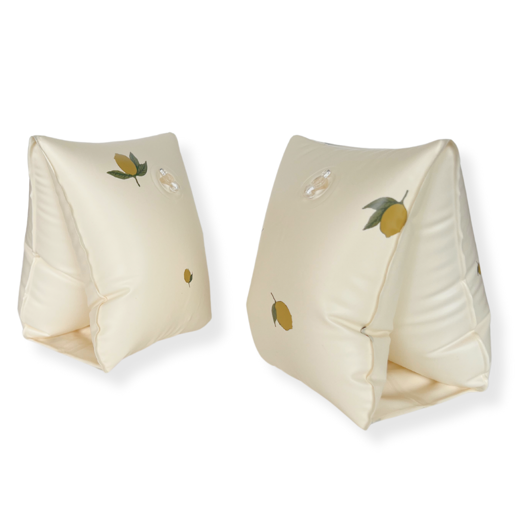 Basic Floaties Wings (2-8A)