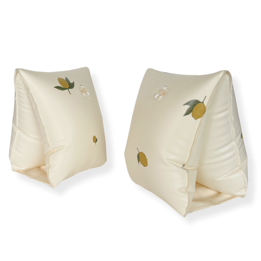 Basic Floaties Wings (2-8A)