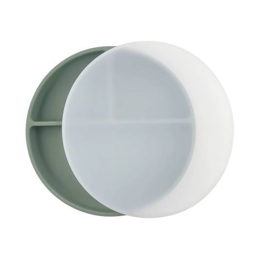 Plato con divisiones, tapa y succión