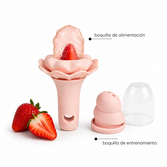Alimentador/Sonajero Ice cream