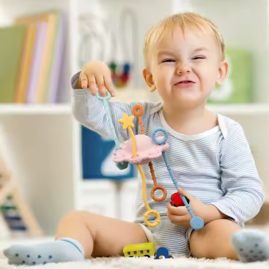 Pull & Play Toy
