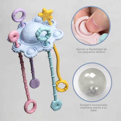 Pull & Play Toy