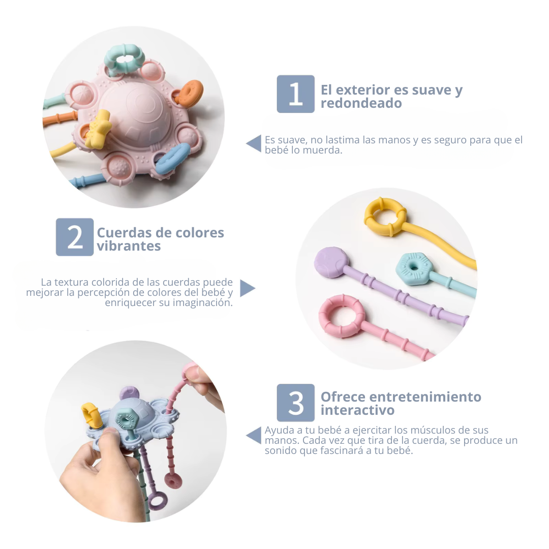 Pull & Play Toy