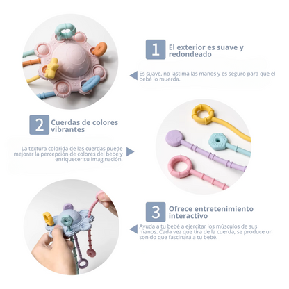 Pull & Play Toy
