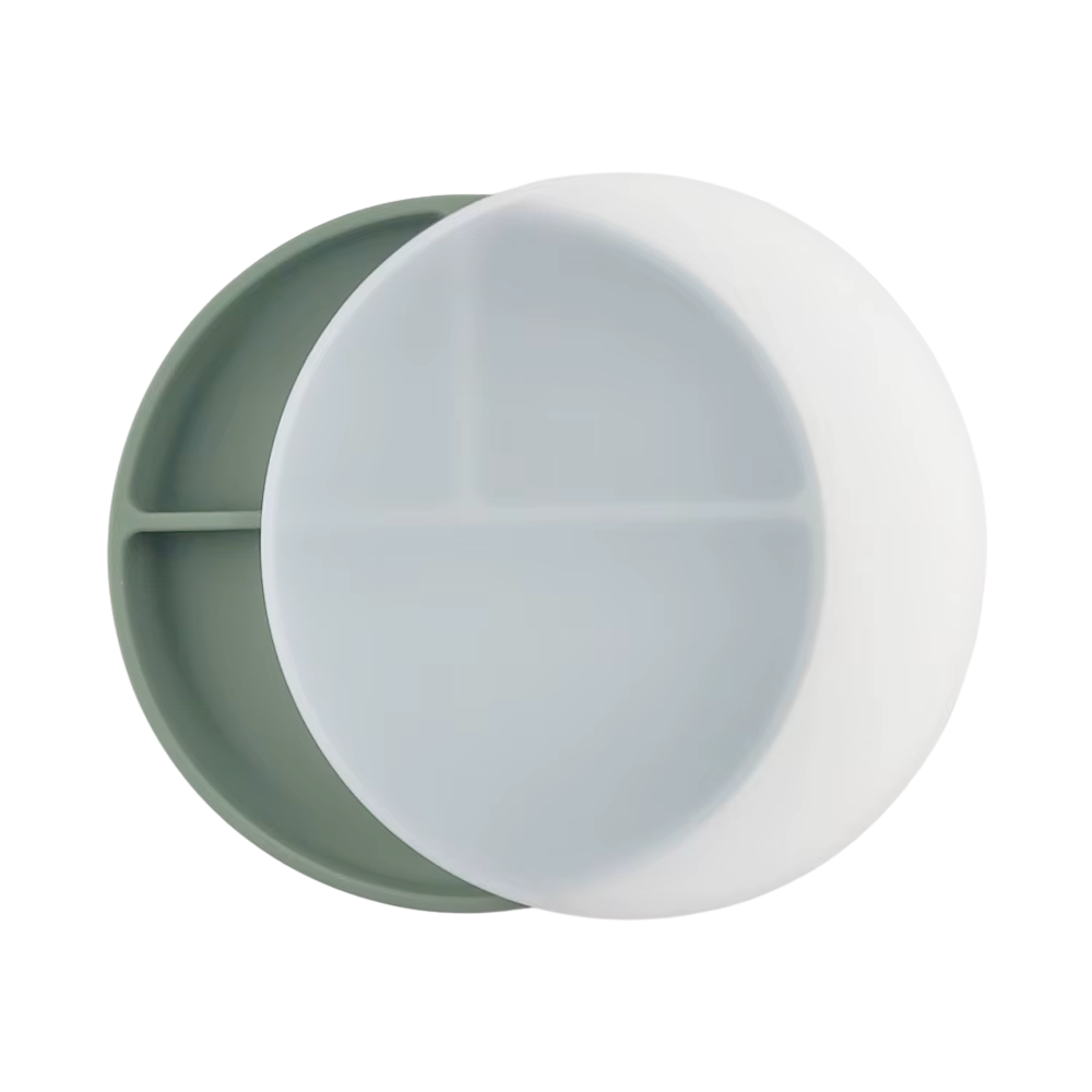 Plato con divisiones, tapa y succión