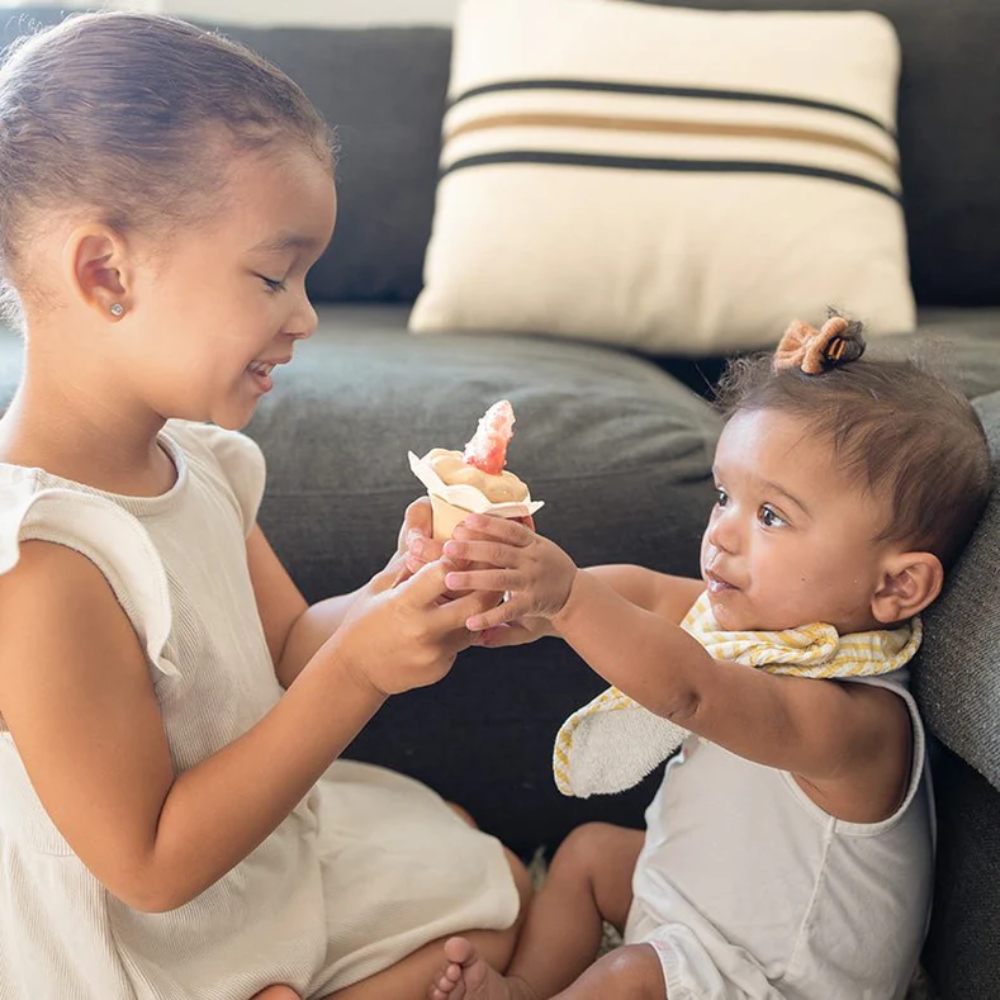 Alimentador/Sonajero Ice cream