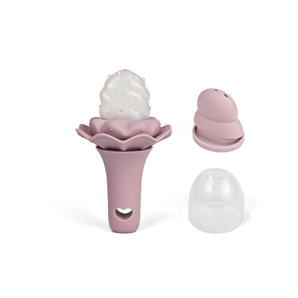 Alimentador/Sonajero Ice cream