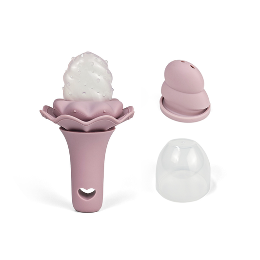 Alimentador/Sonajero Ice cream