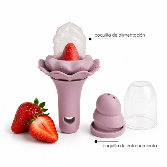 Alimentador/Sonajero Ice cream
